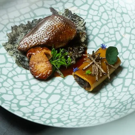 L'arbre Voyageur Lille